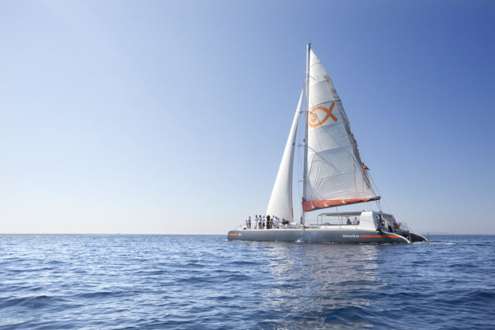 Mallorca catamaran excursion