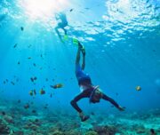 Life and sea Catamaran arenal snorkeling