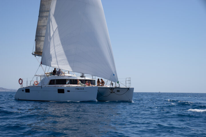 Oasis blue 1